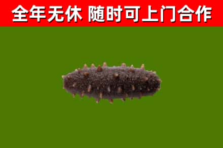 若羌县烟酒回收干海参.jpg